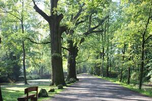 Burg-Allee-AHinxlage.jpg