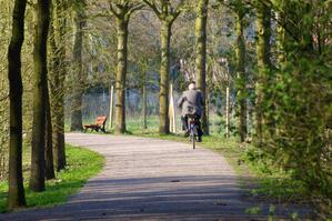Burgwald-Mut-Weg-Fahrradfahrer-CDressler.jpg